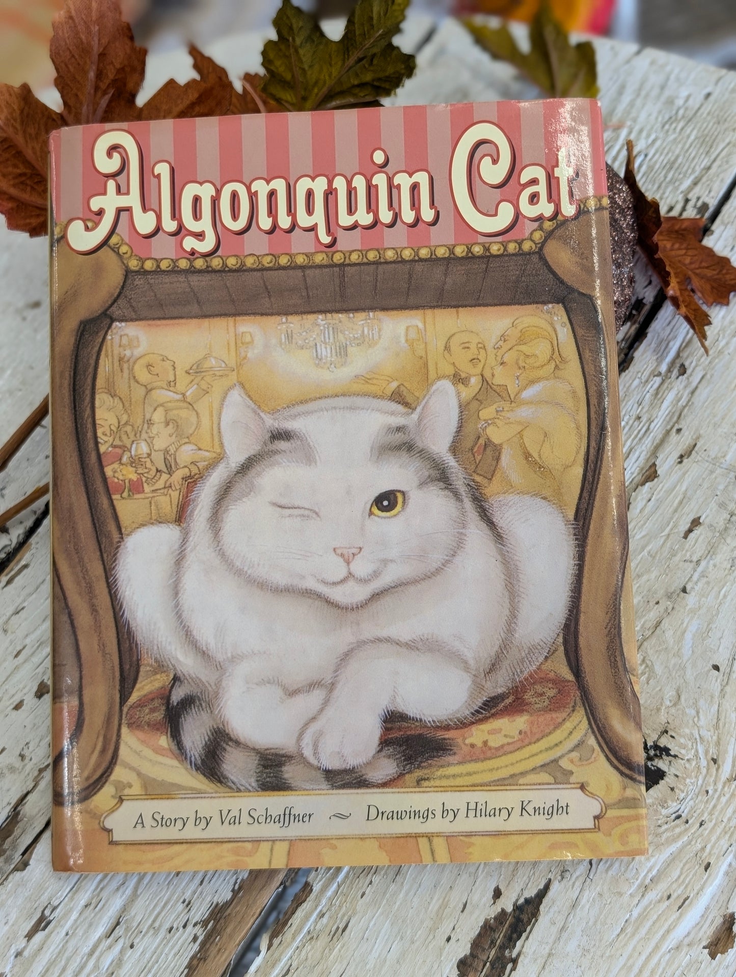 Algonquin Cat