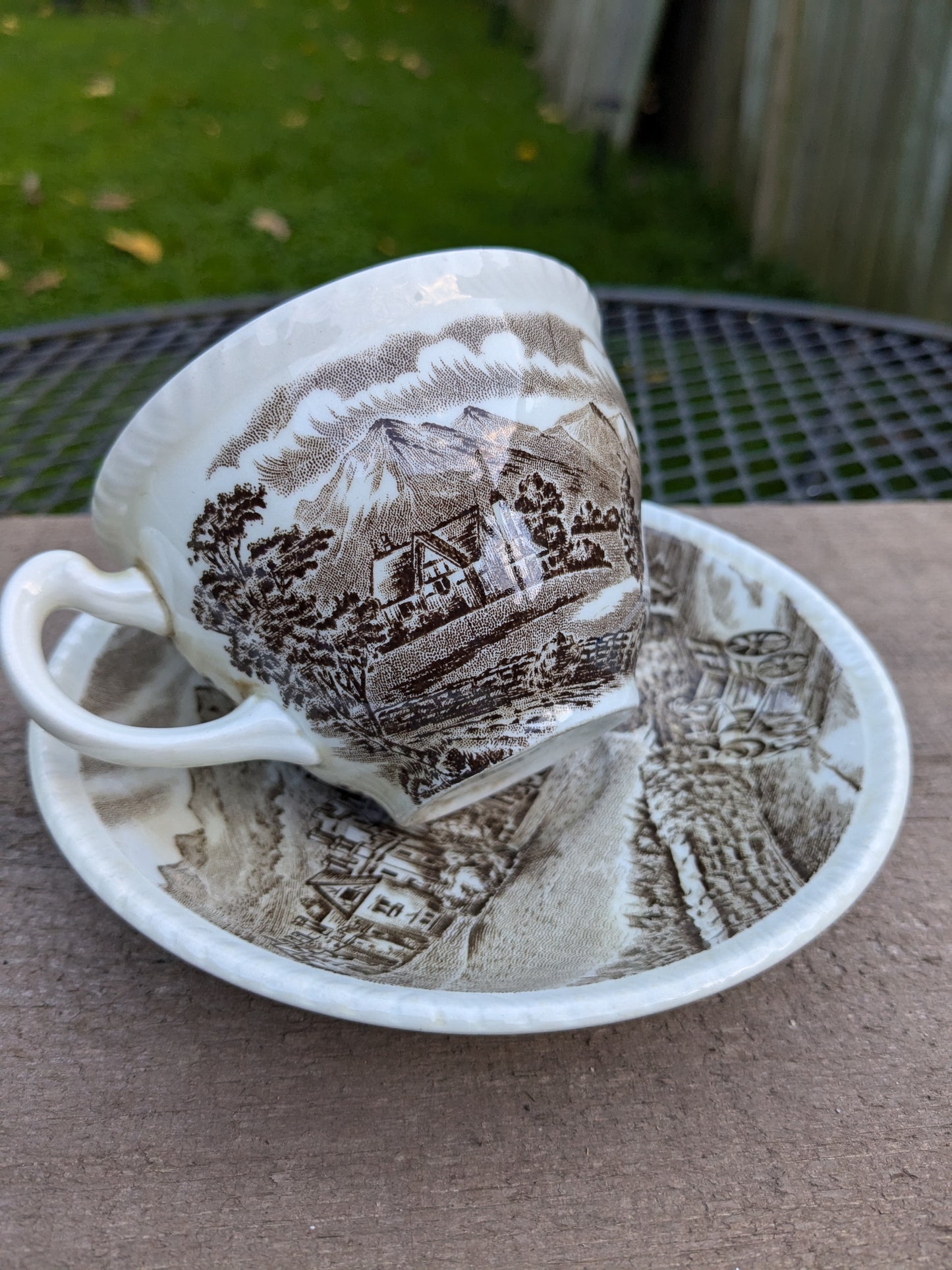 Vintage ironstone teacup West Moreland