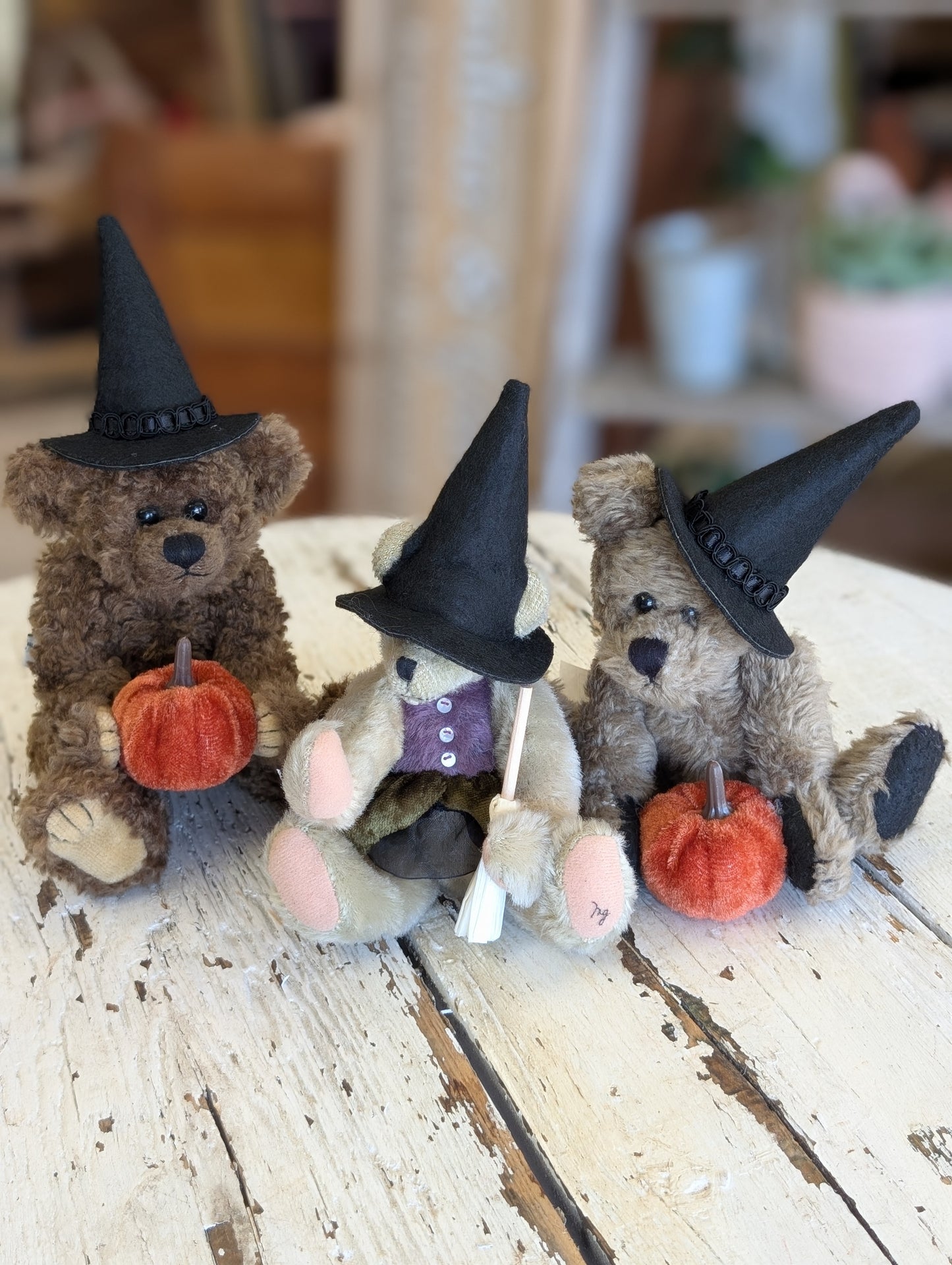 Witch Teddy