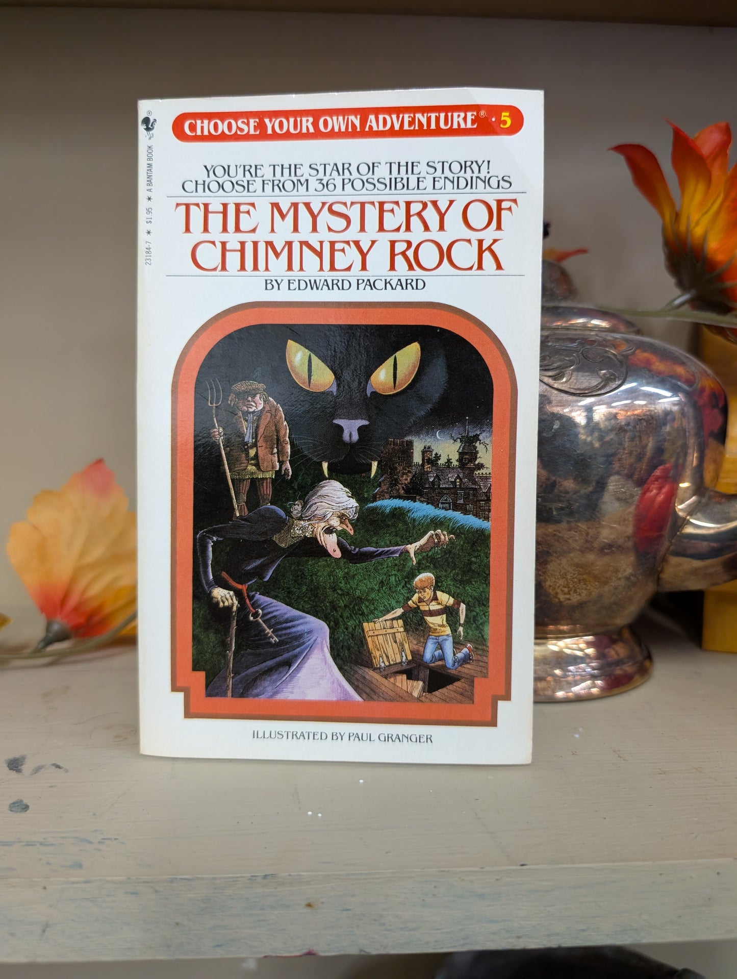 Choose your own adventure