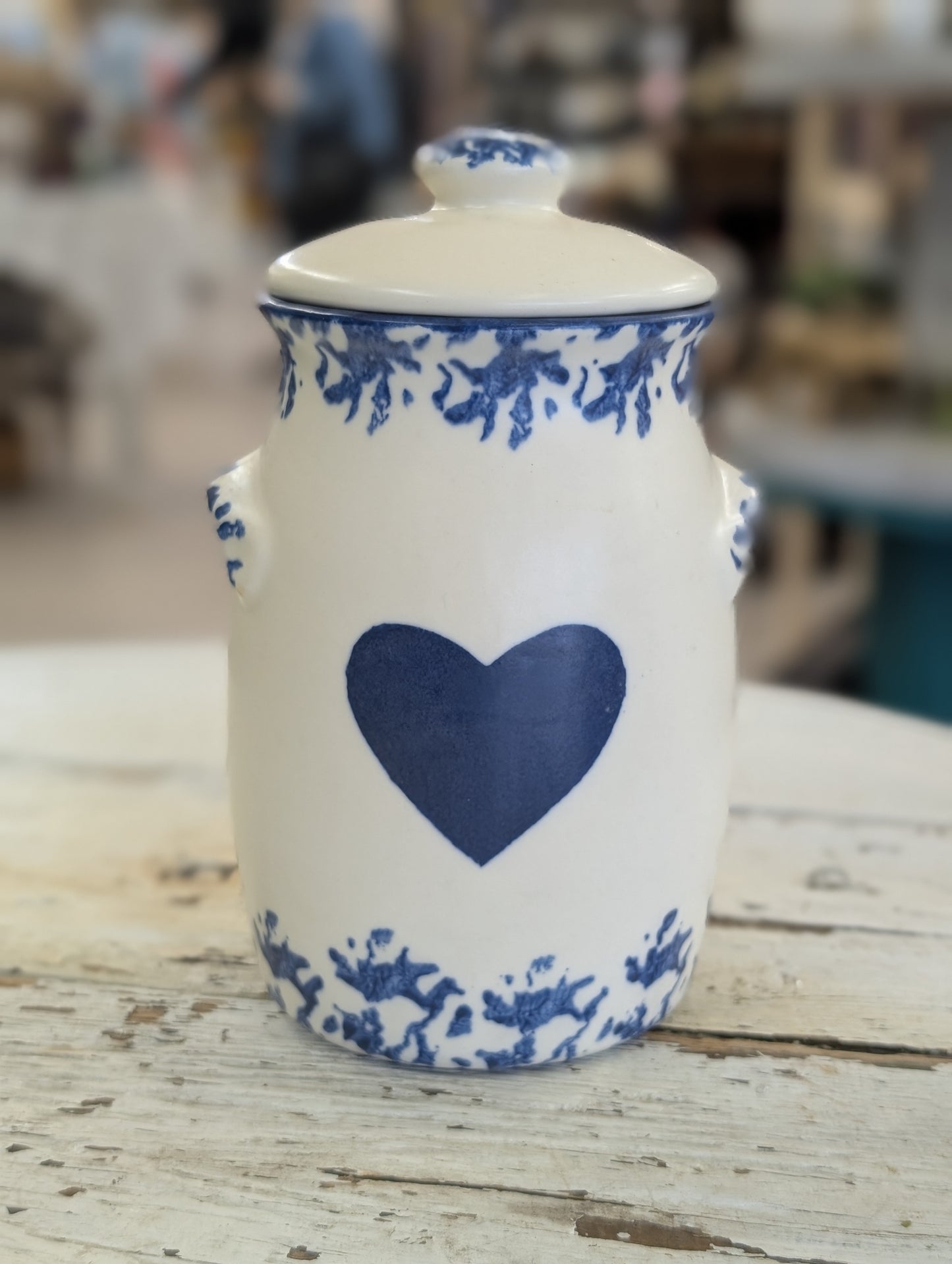 Blue potter Sponge Canister