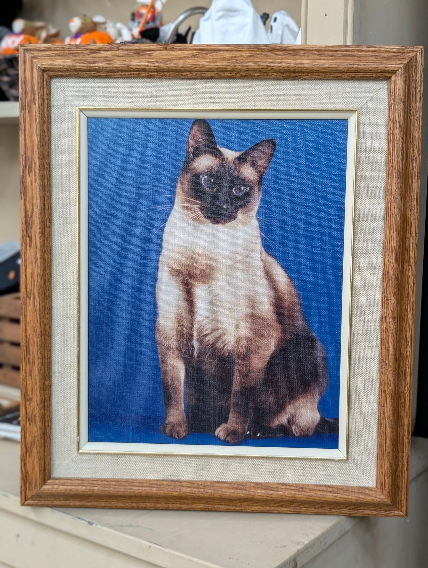 Cat portrait art