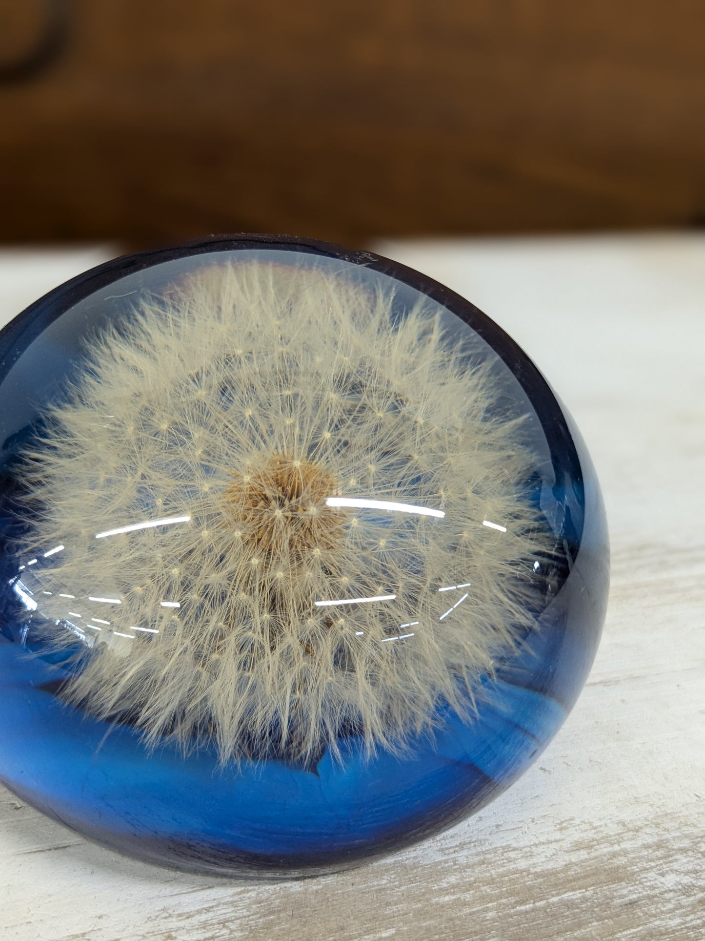 Dandelion paperweight