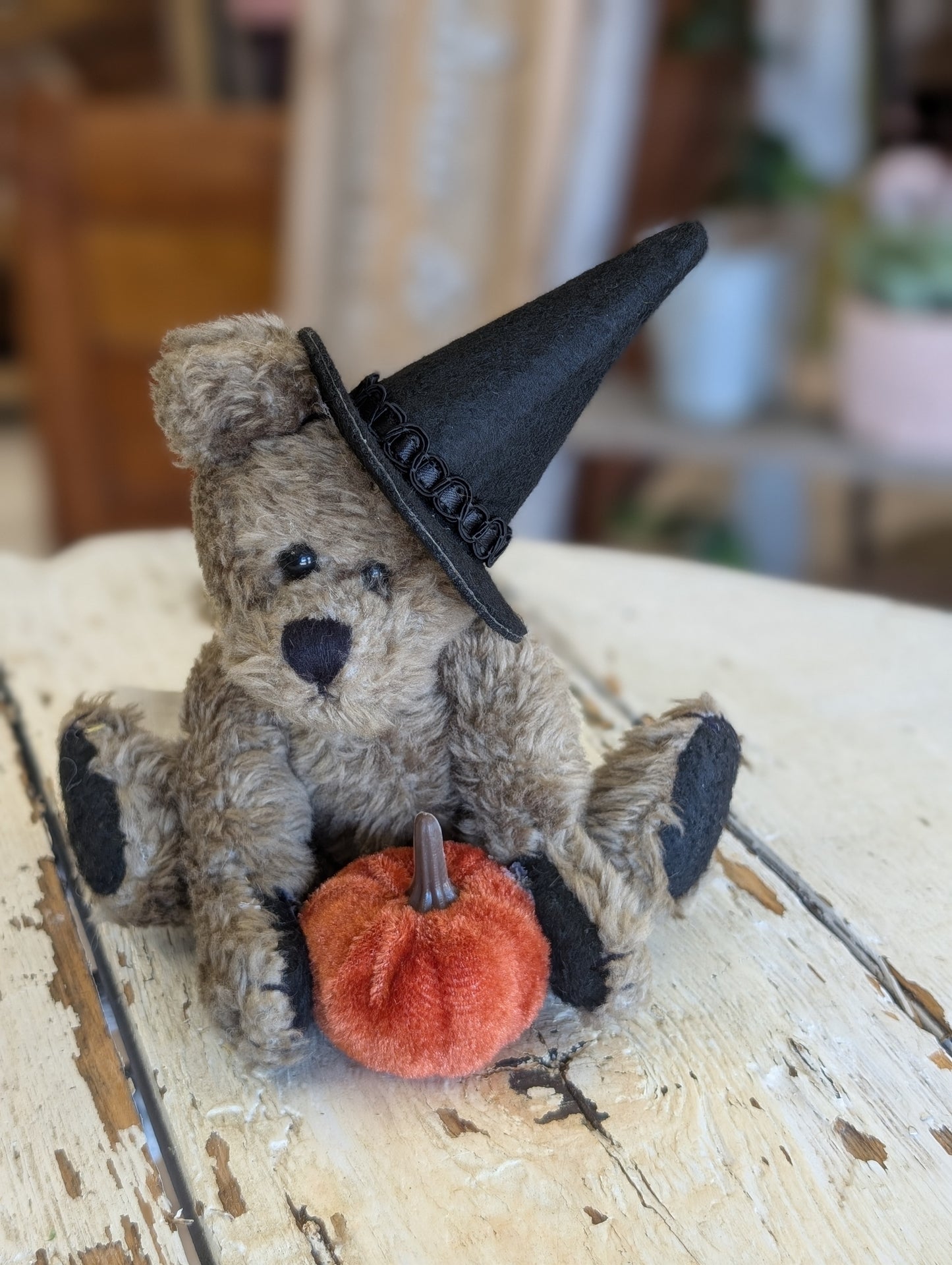 Witch Teddy