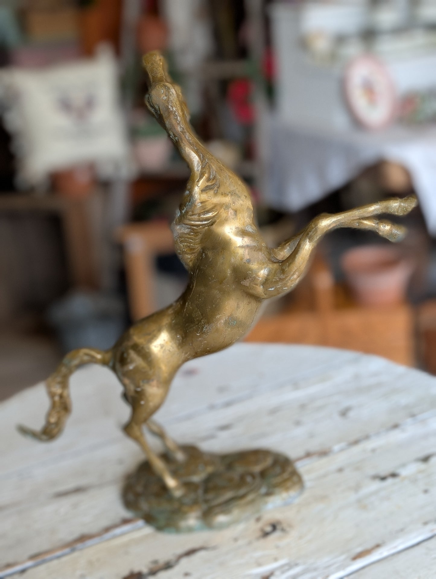 brass stallion