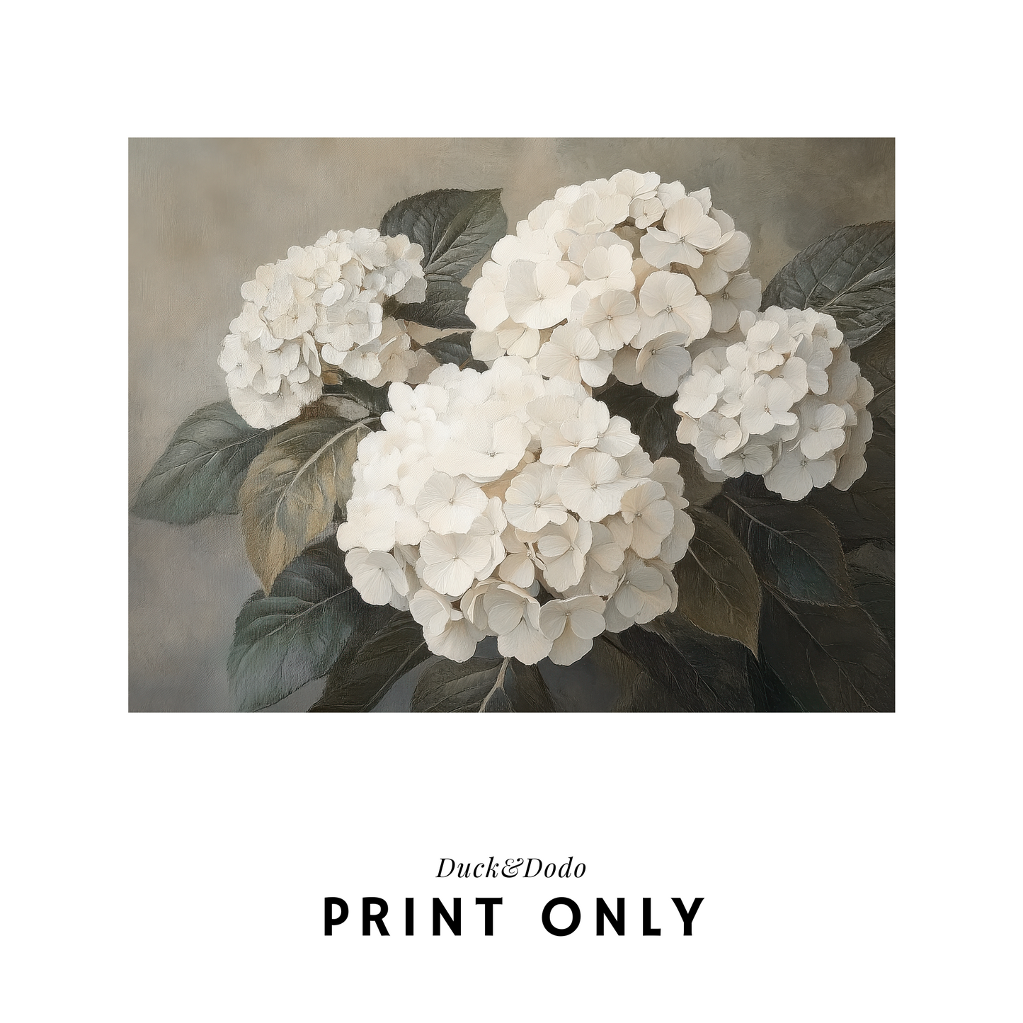 Hydrangea Print