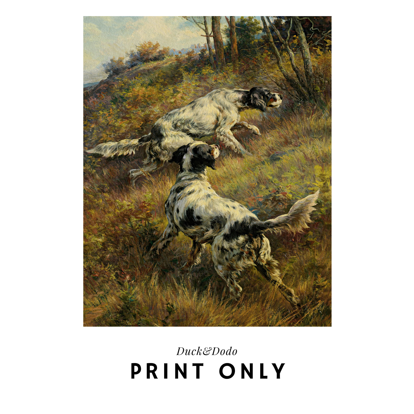 Hunting dogs in Field Print