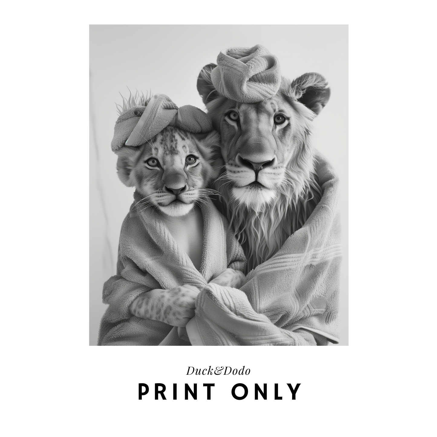 Lionesses Print