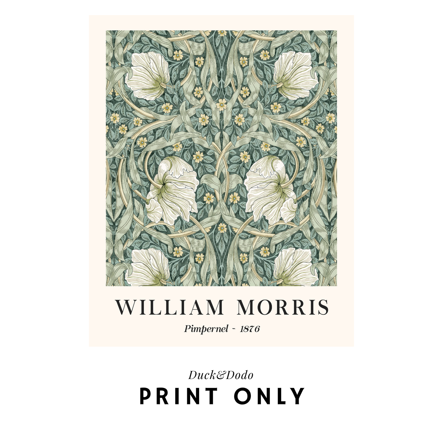 William Morris Pimpernel