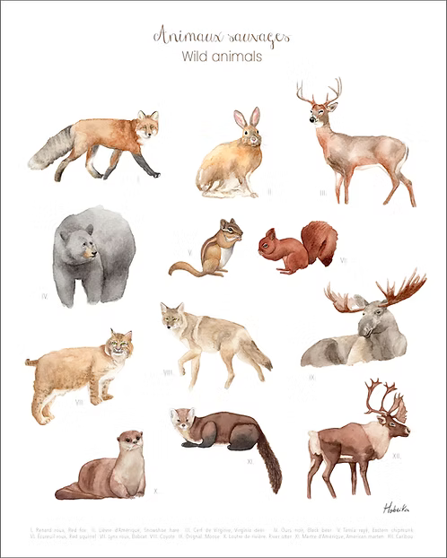 Wild animals print 8x10