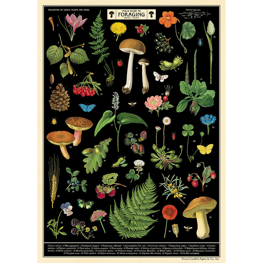 Field Guide to Foraging Wrap