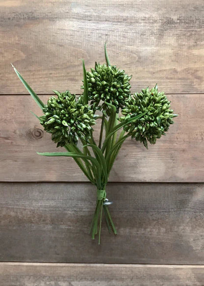 11" Allium Grass Bundle - 2