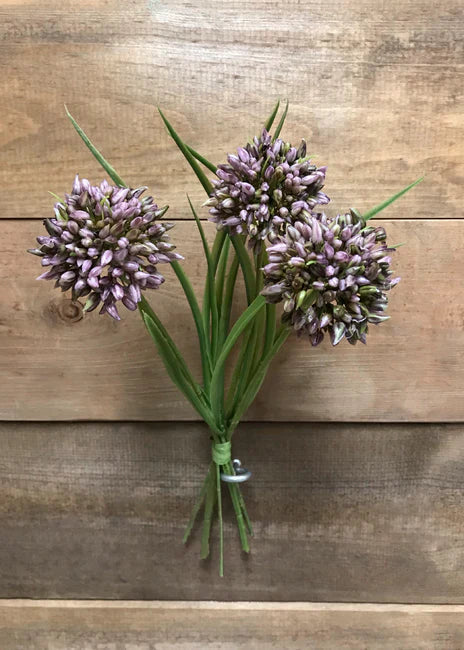 11" Allium Grass Bundle - 3