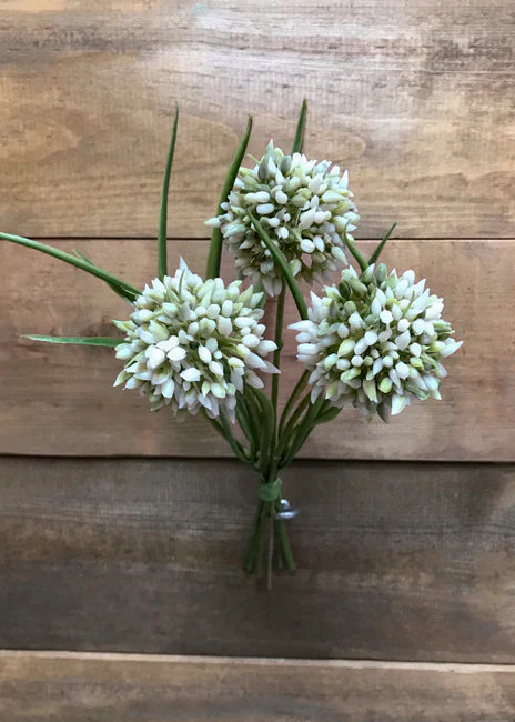 11" Allium Grass Bundle - 4