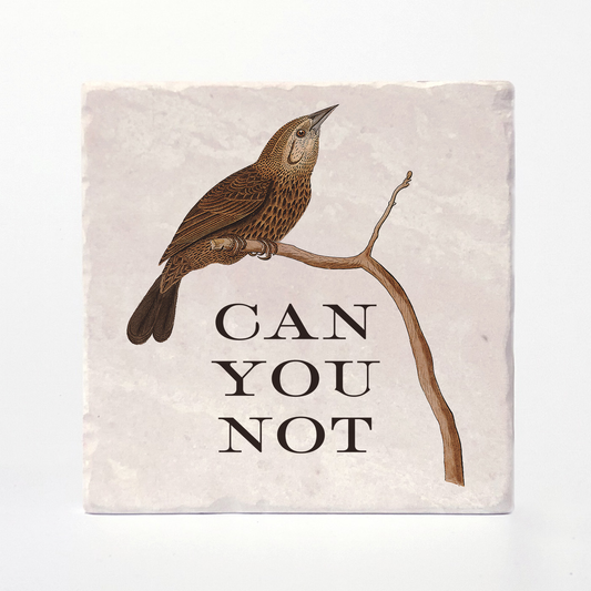 Can You Not - Effin' Birds Coaster