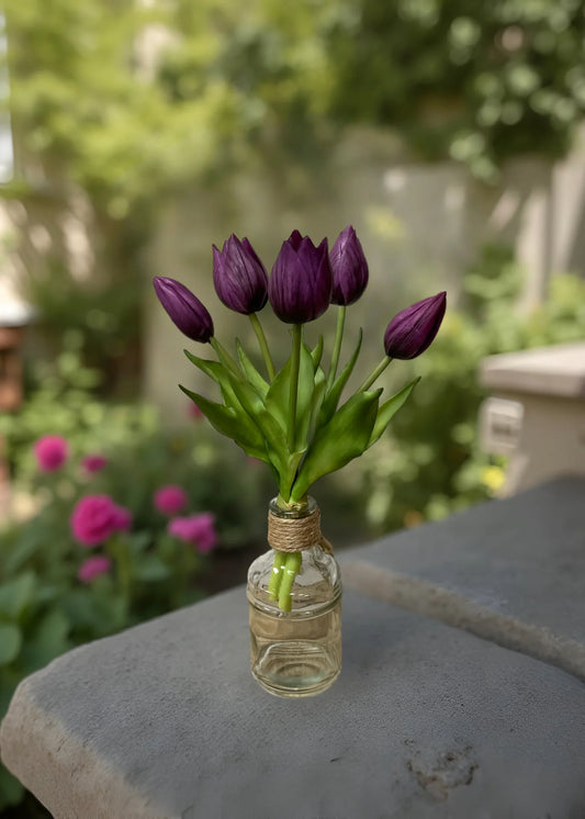 Purple Tulip Bundle
