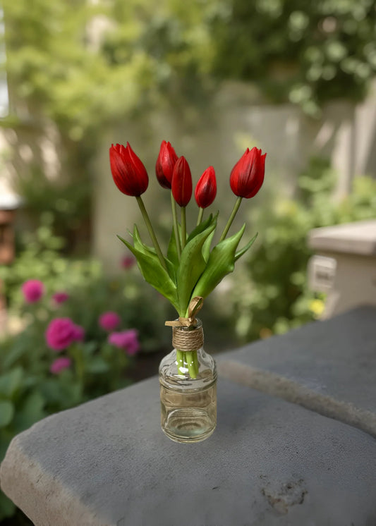 Red Tulip Bundle