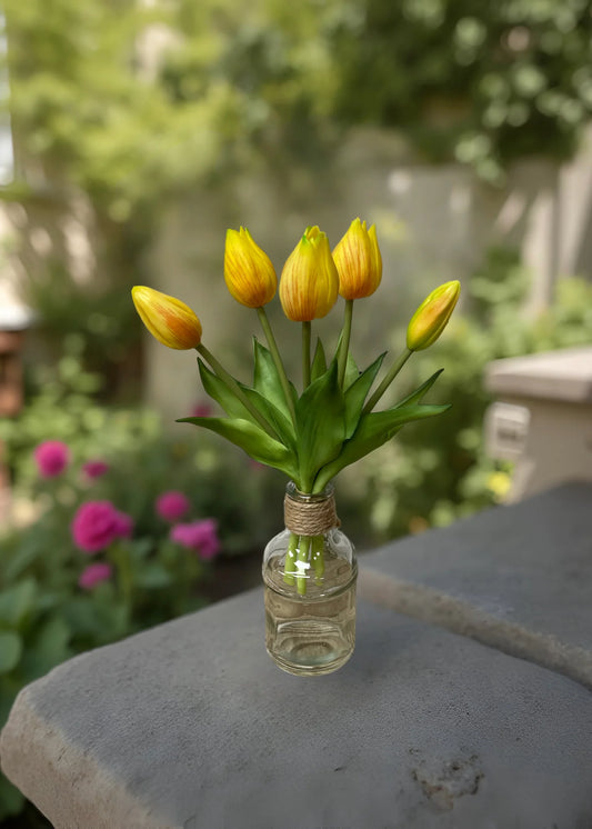 Yellow Tulip Bundle