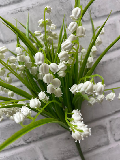 Lily of the Valley