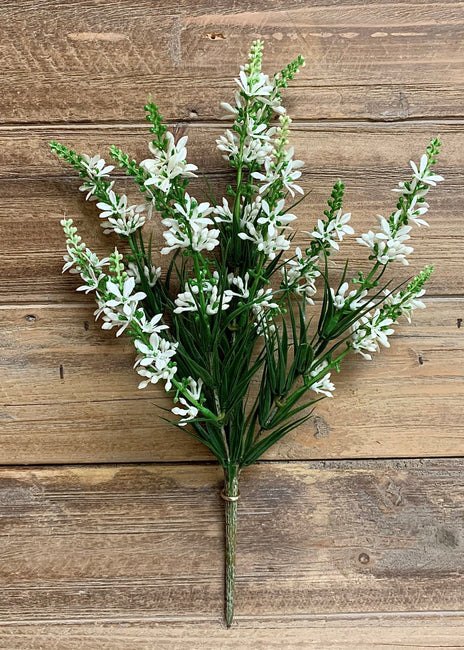 Sweet Veronica Bush