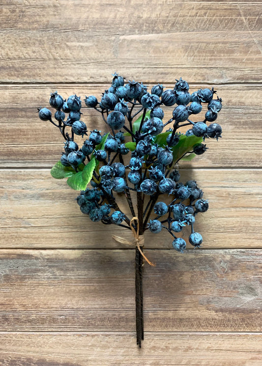 11" Blueberry Bundle