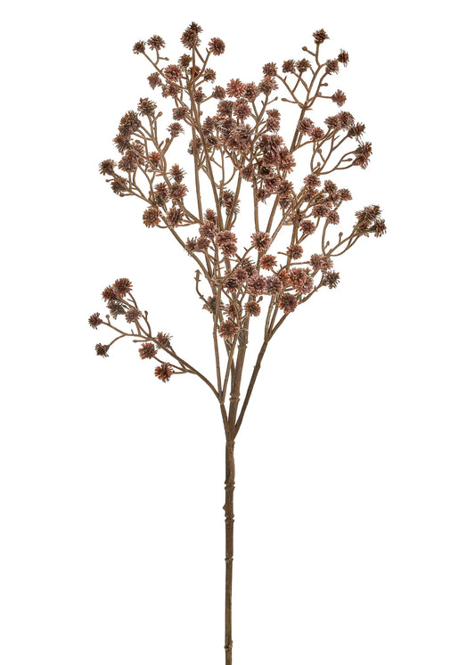 Purple Stem of Flowers
