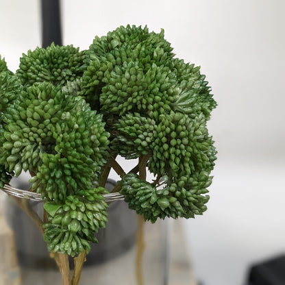 9" Sedum Pick