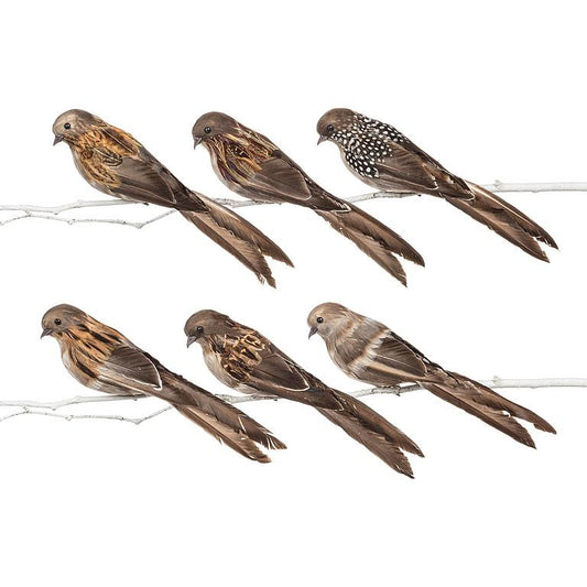 Lg Bird Clip with Long Tail