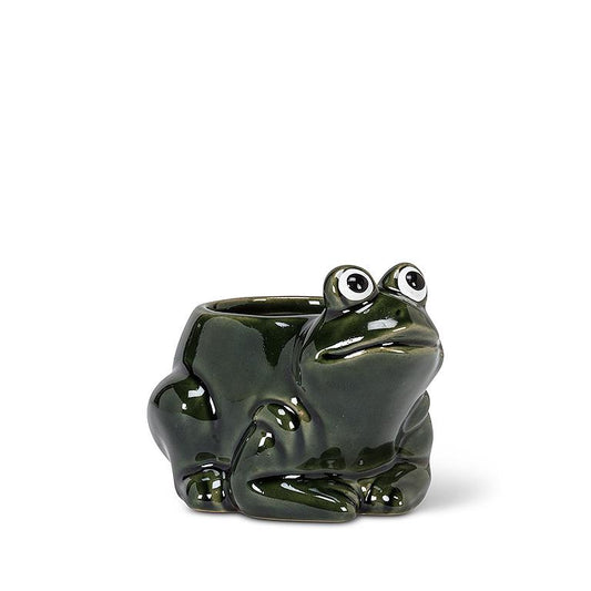 Frog Planter