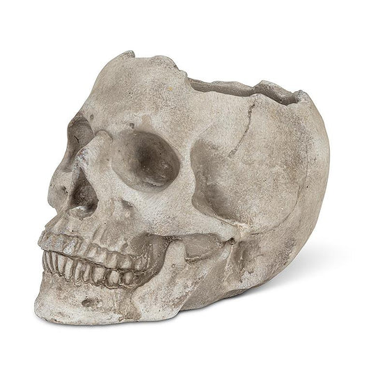 Lg Skull Planter-5"H
