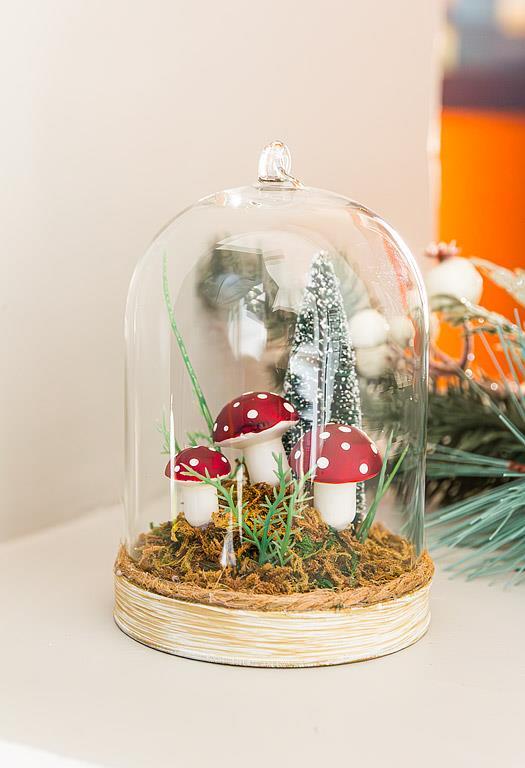 Mushroom In Forest Dome
