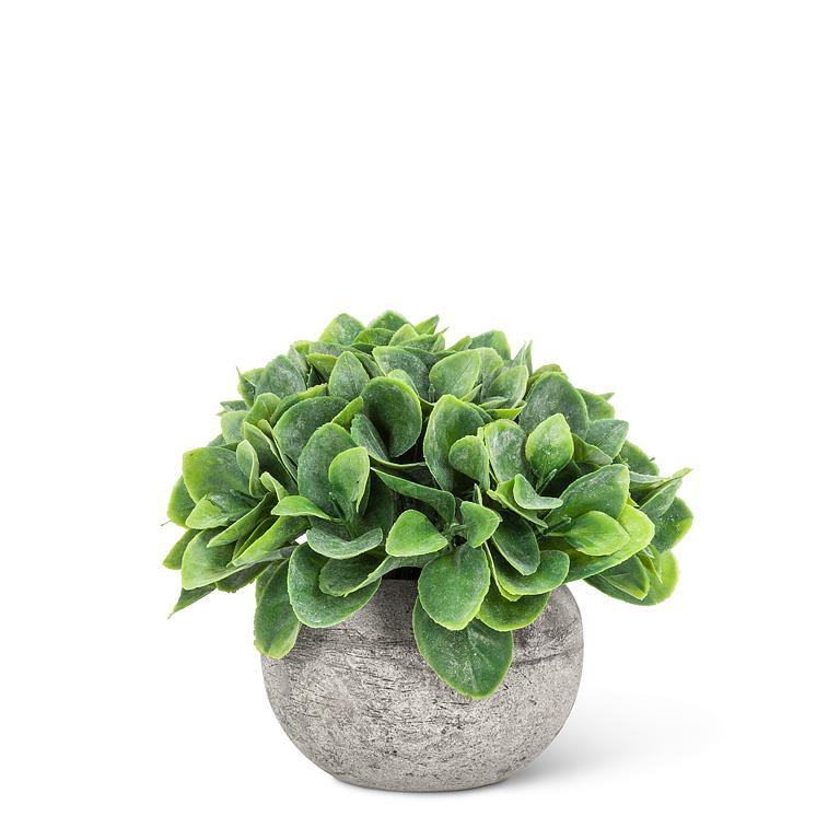 Spade Leaf Plant Pot