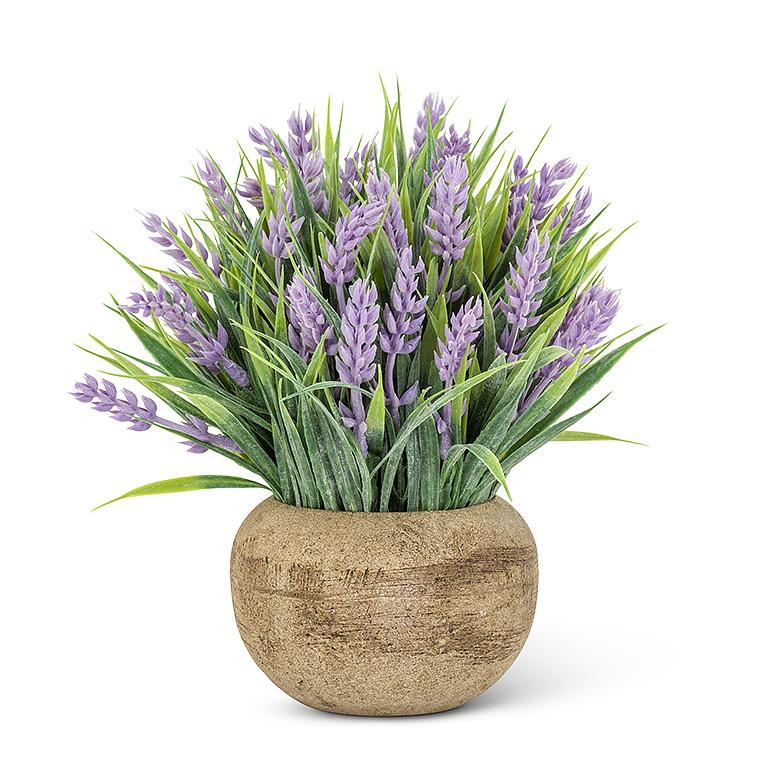 Sm Lavender Plant Pot