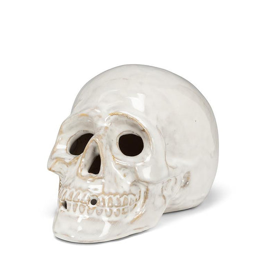 Sm Skull-White-5.5"