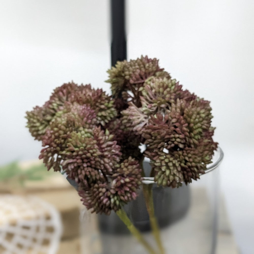 9" Sedum Pick