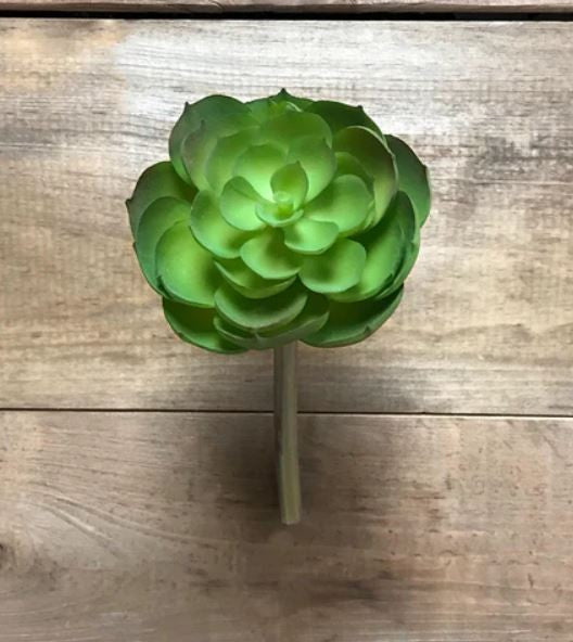 4" Succulent Pick