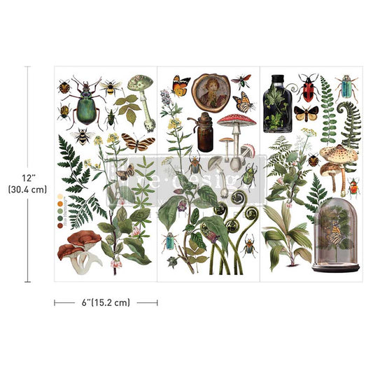 Botanical archives mini transfers