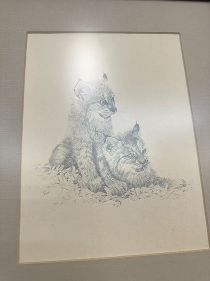 Art - Drawing of Lynx Kittens - 2