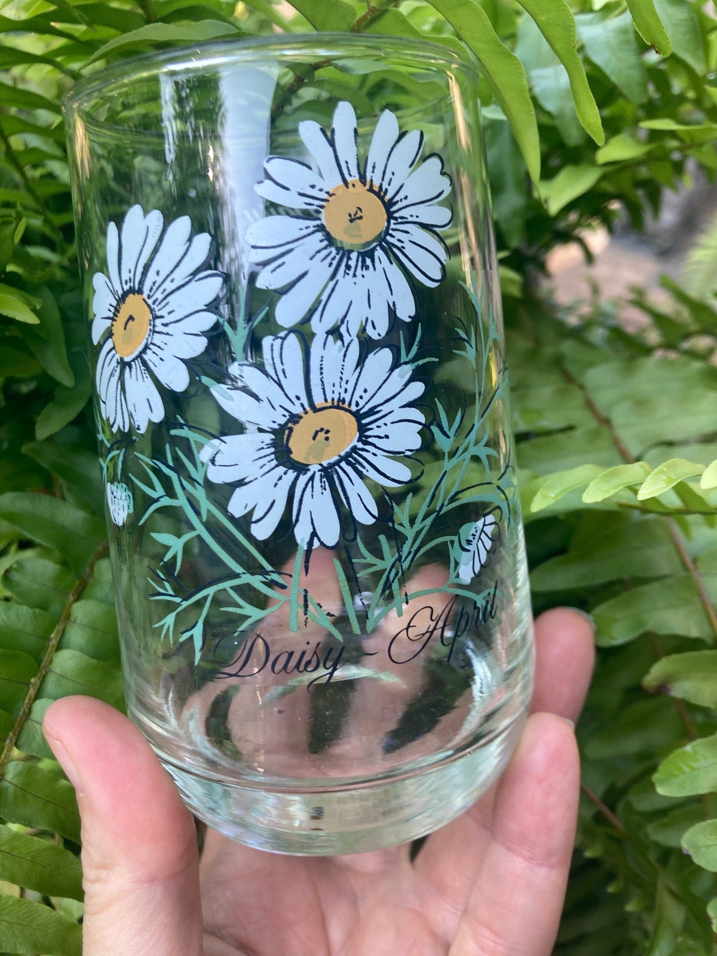 Daisy Glass - 1