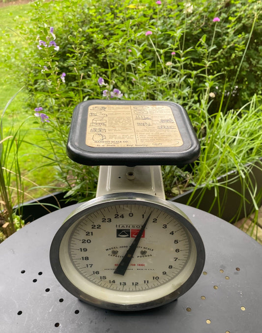 Vintage Hanson Metal Scale - 1