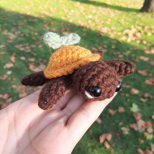 Pumpkin Turtle - 1