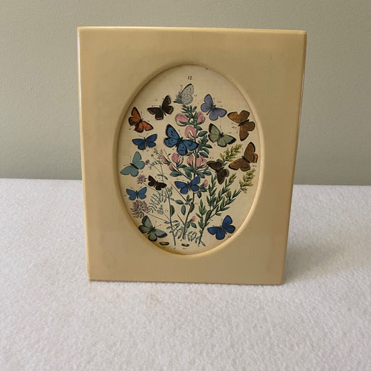 French Ivory Picture Frame - 1