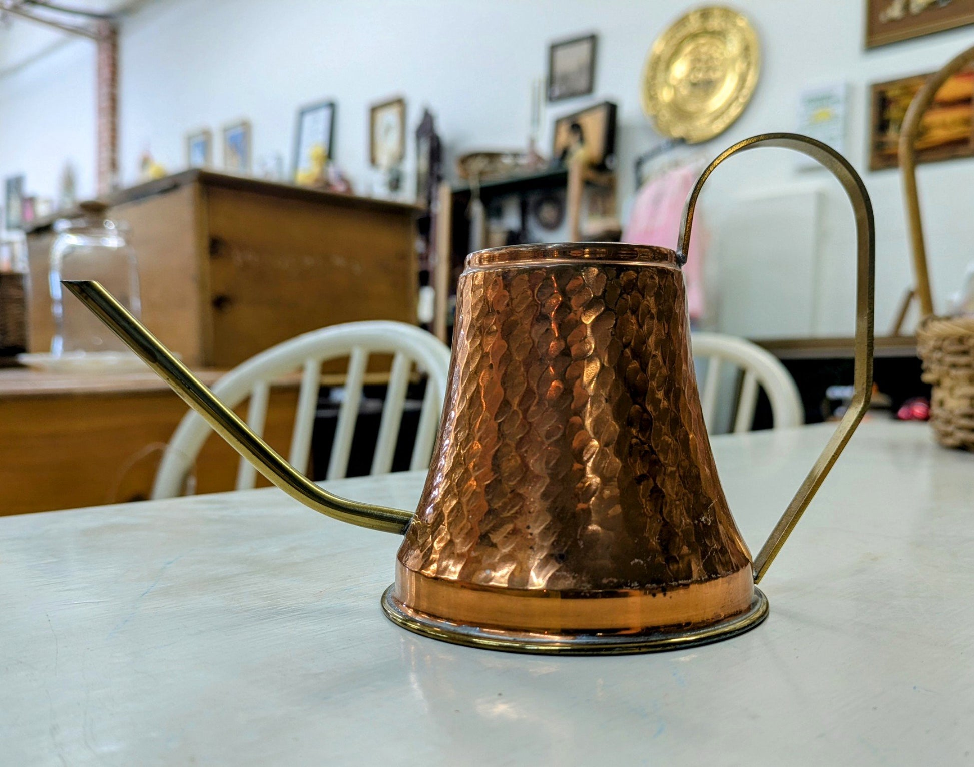 Copper Watering Can - 1