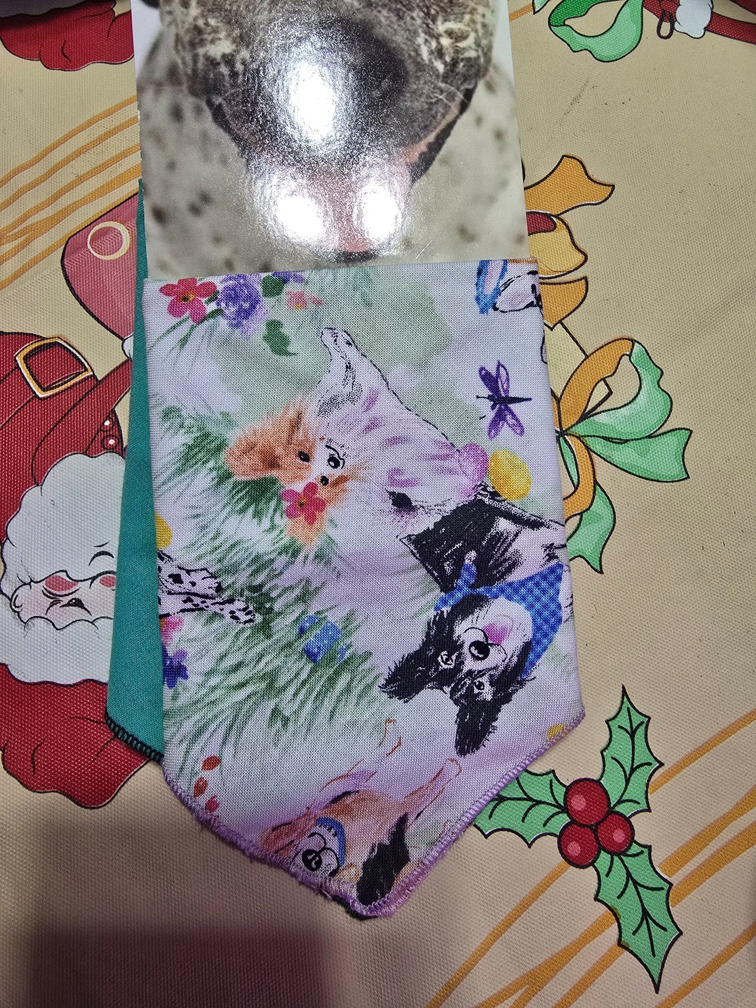 665f5e7d04f32b049949ecdf_bandana-easter-dogs_1772656022736.jpg