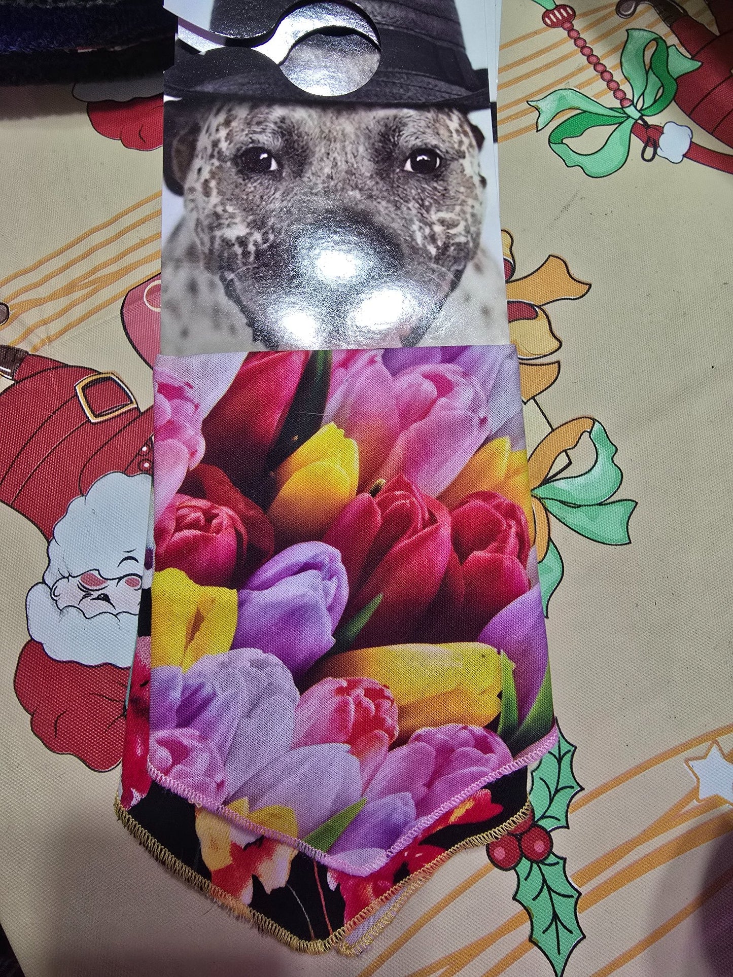 665f5e7d04f32b049949ecdf_bandana-tulips_1772656362384.jpg
