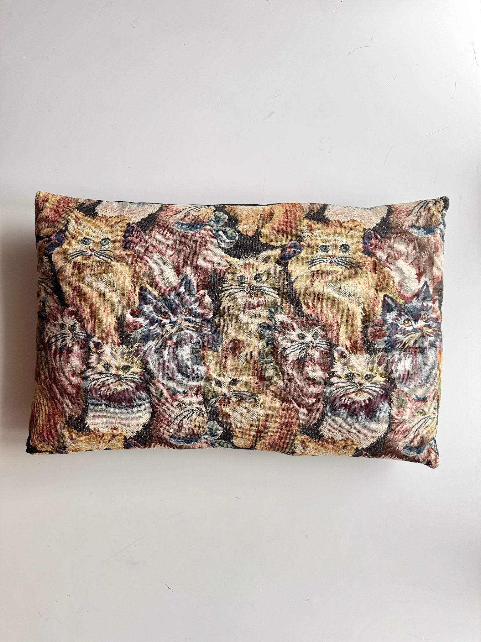 665f5e7d04f32b049949ecdf_cat-tapestry-pillow-1_1782825018346.jpg