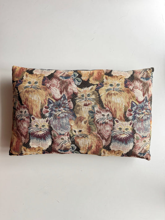665f5e7d04f32b049949ecdf_cat-tapestry-pillow-1_1782825018346.jpg