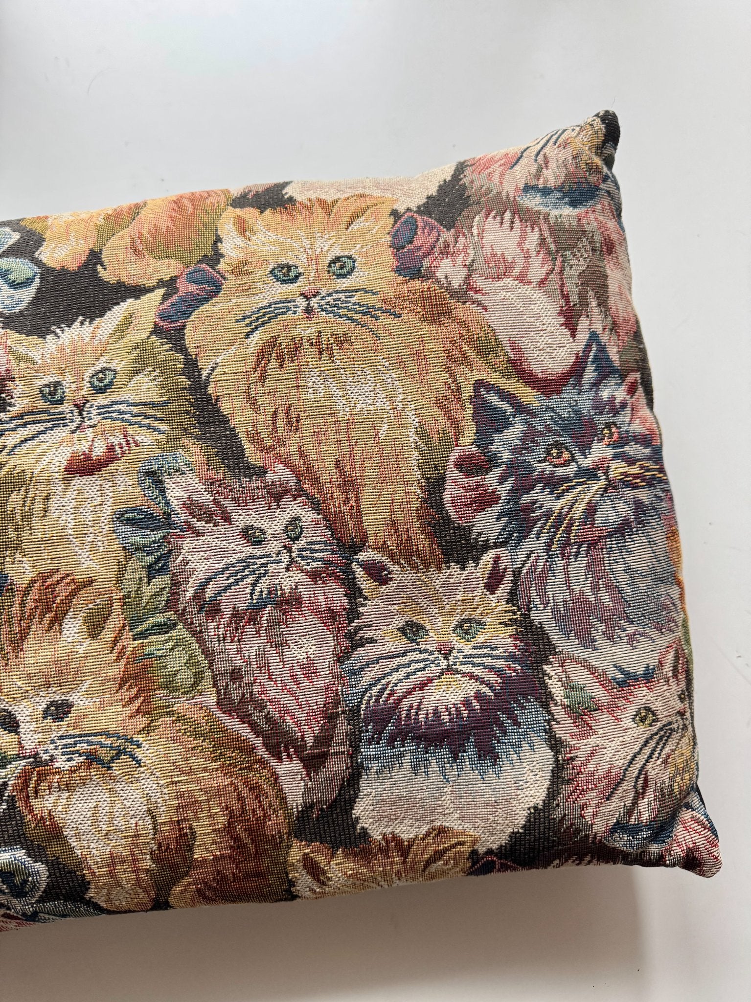 665f5e7d04f32b049949ecdf_cat-tapestry-pillow-3_1782825018347.jpg
