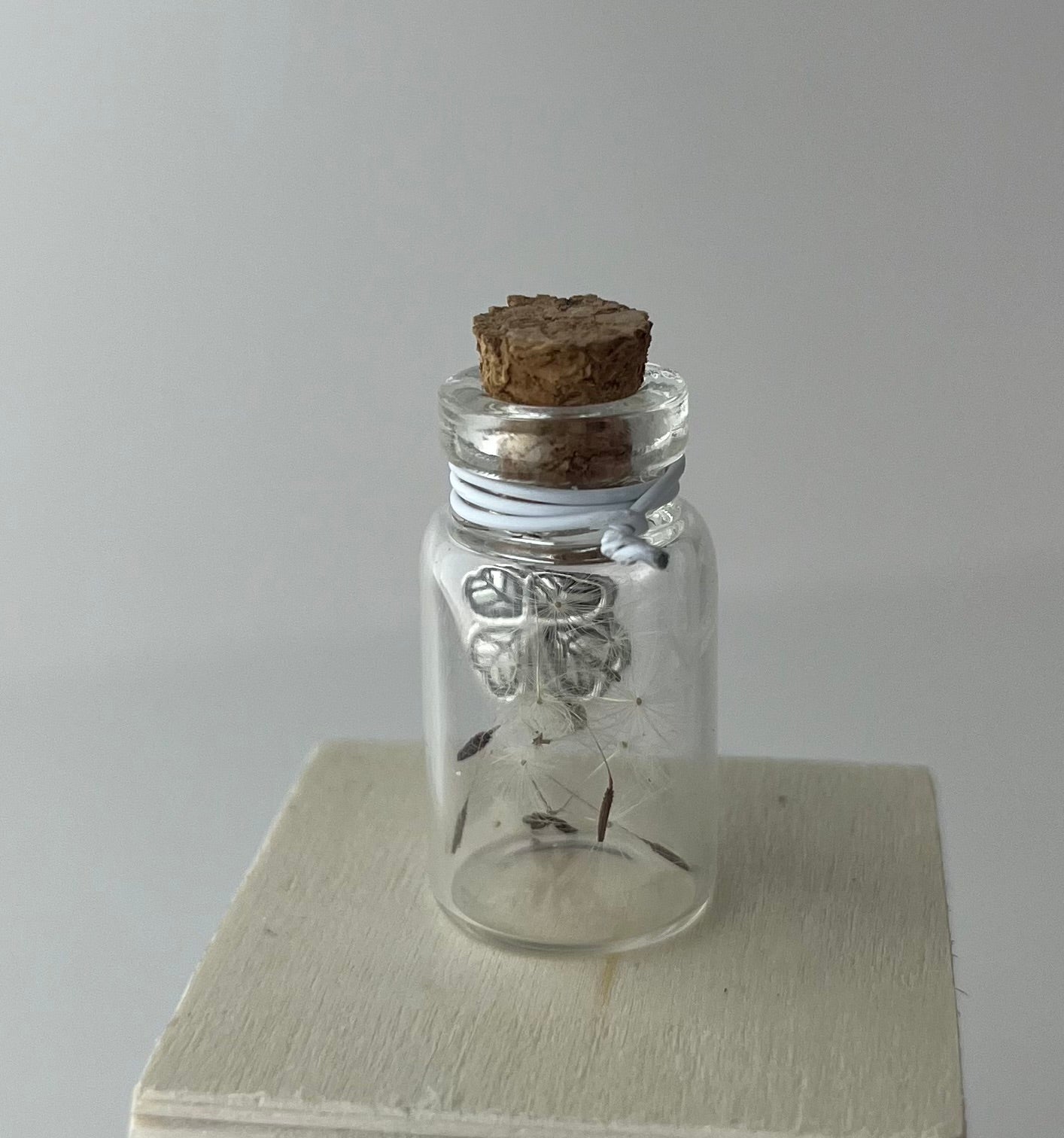 Whispers of the Wind Keepsake