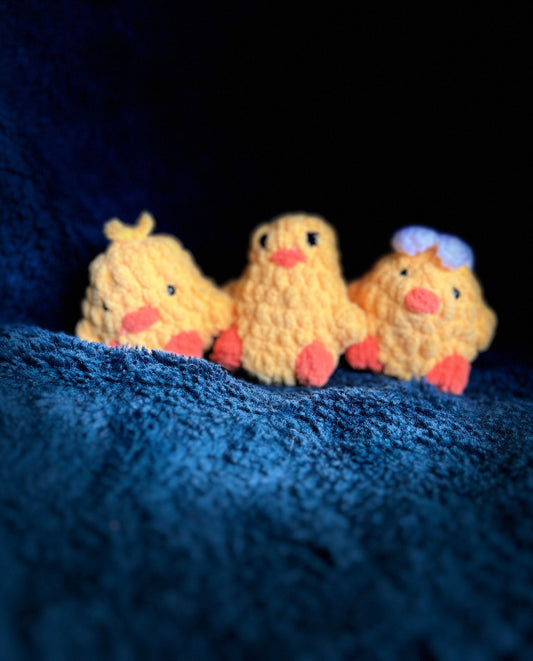 Little chick